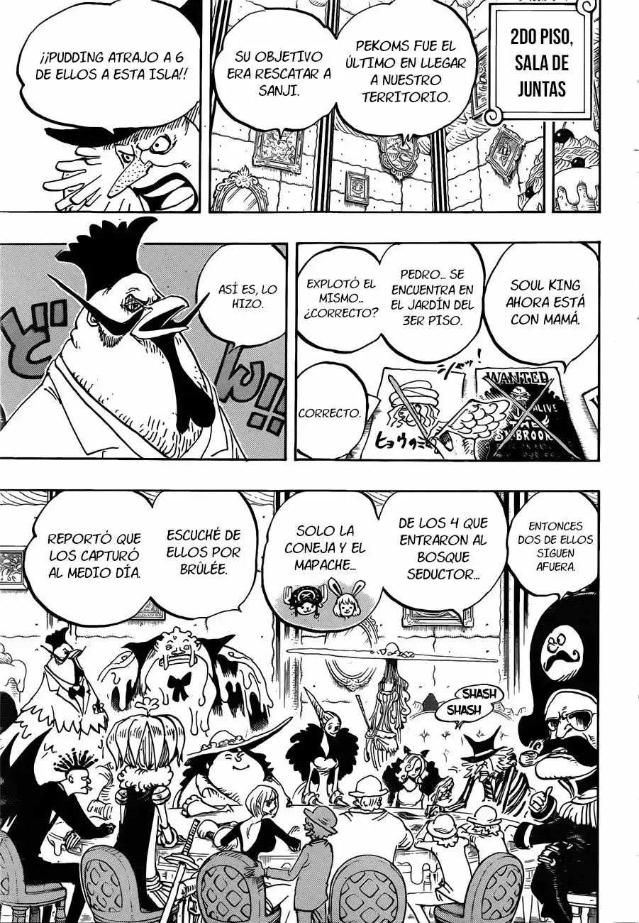 One Piece Capitulo 854: ¡¿Qué rayos estoy haciendo?! página 12