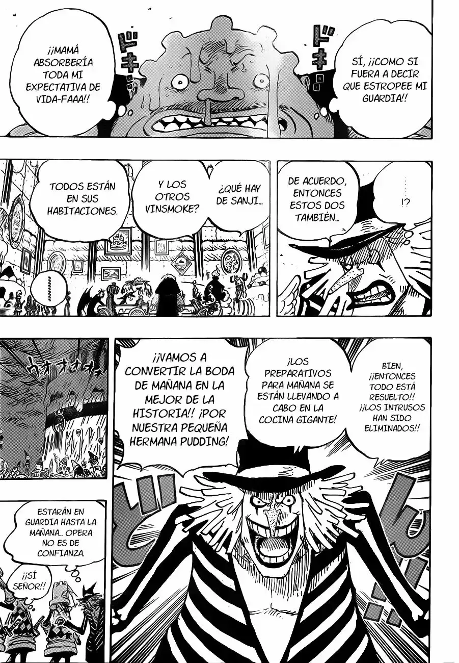 One Piece Capitulo 854: ¡¿Qué rayos estoy haciendo?! página 14