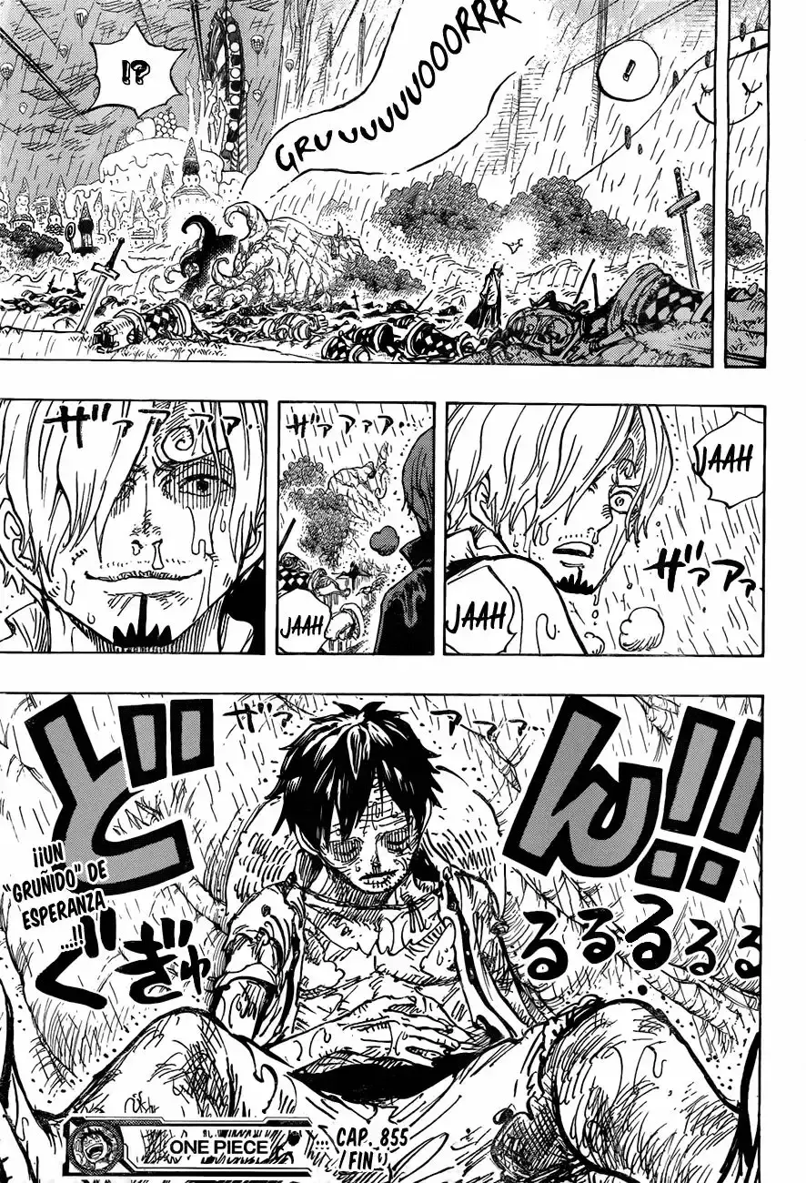 One Piece Capitulo 855: ¡GROOOWWWL! página 17