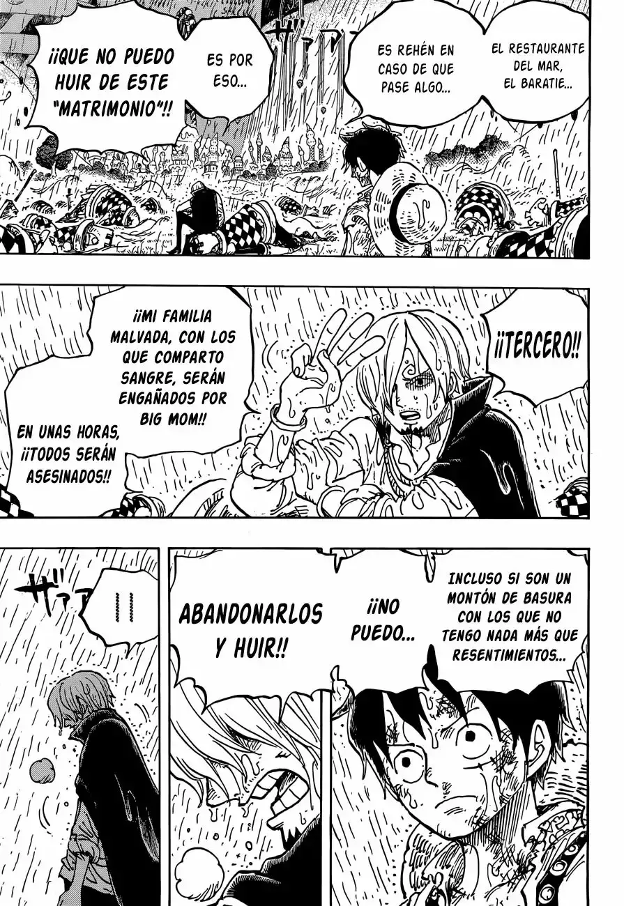 One Piece Capitulo 856: Mentiroso página 14