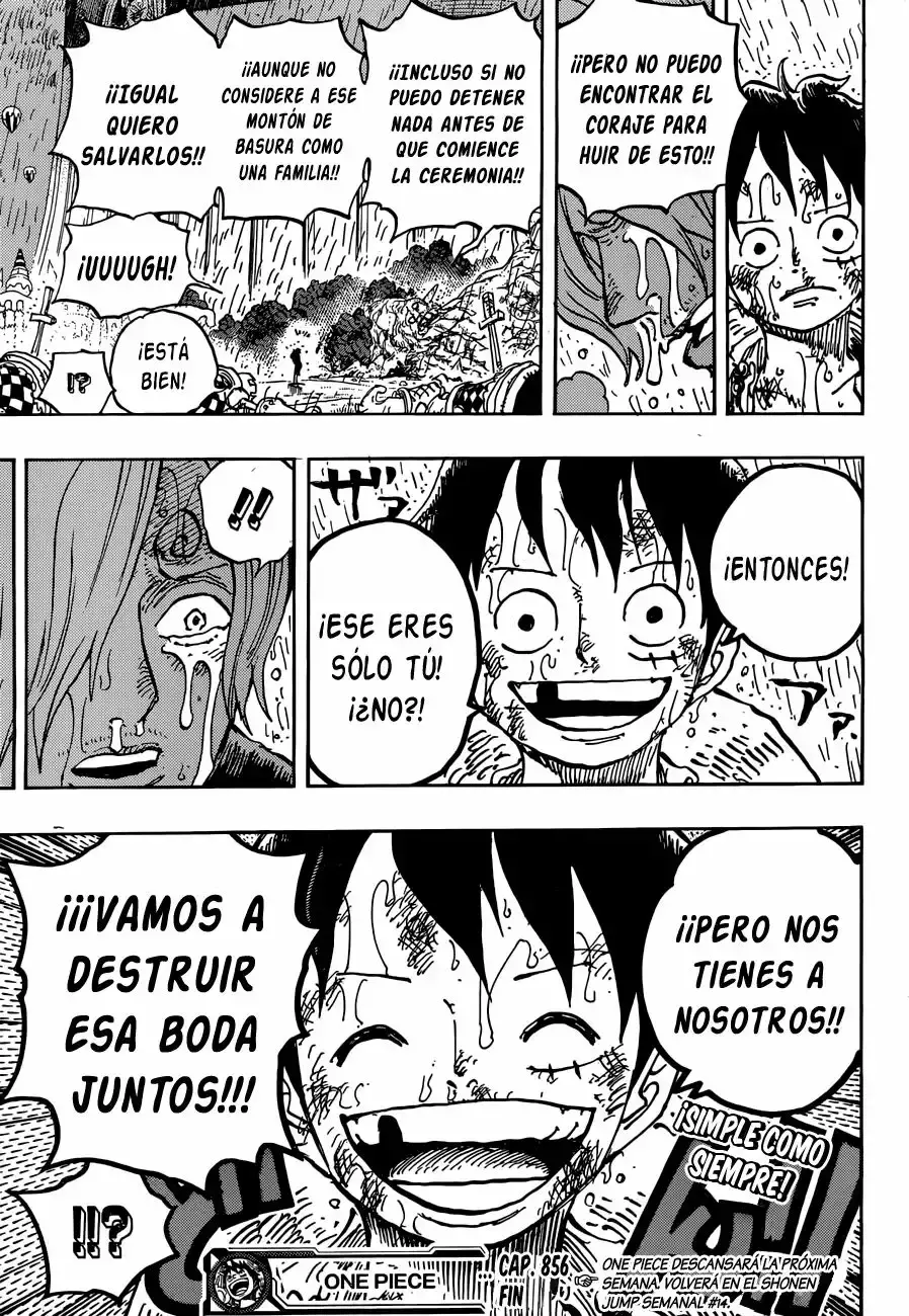 One Piece Capitulo 856: Mentiroso página 18