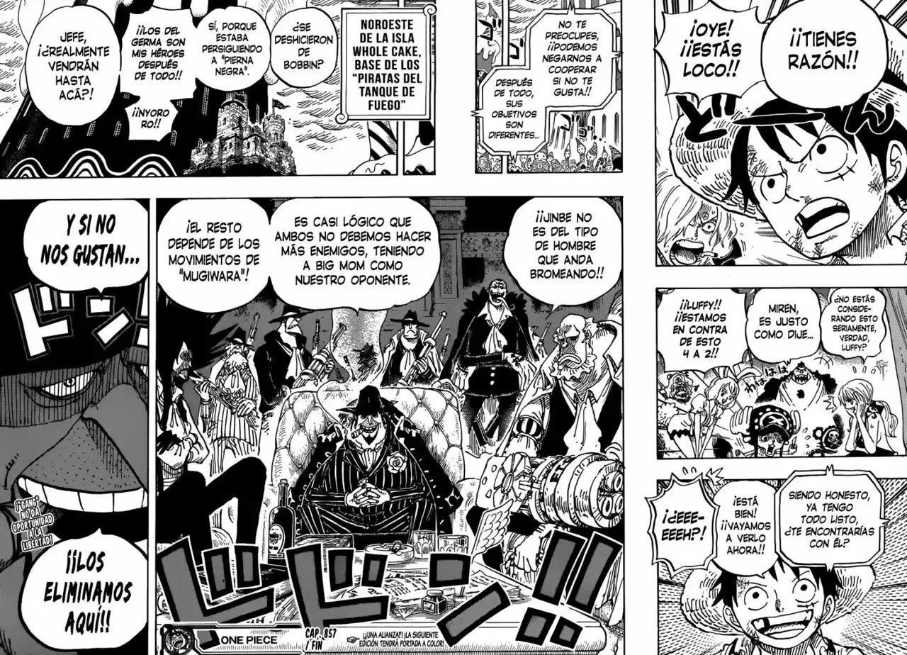 One Piece Capitulo 857: Torre página 17