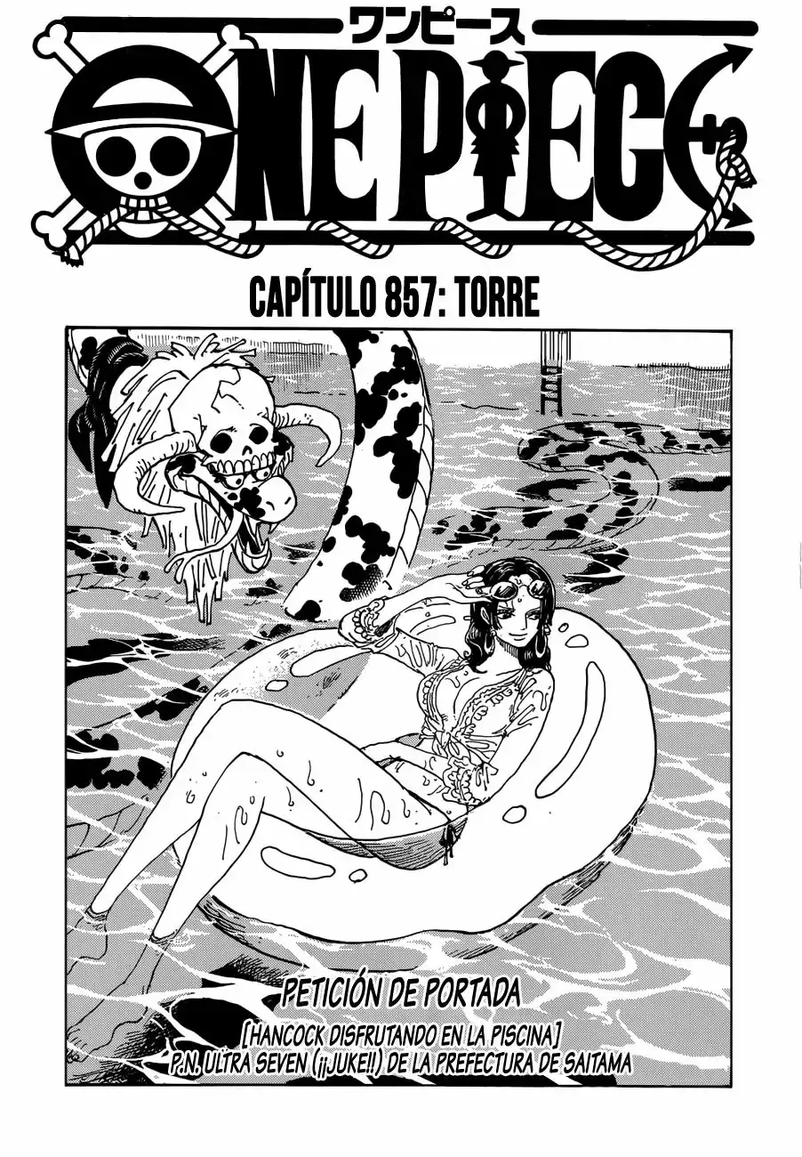 One Piece Capitulo 857: Torre página 2