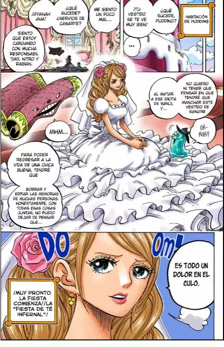 One Piece Capitulo 859: Plan para asesinar a un Yonkou página 16