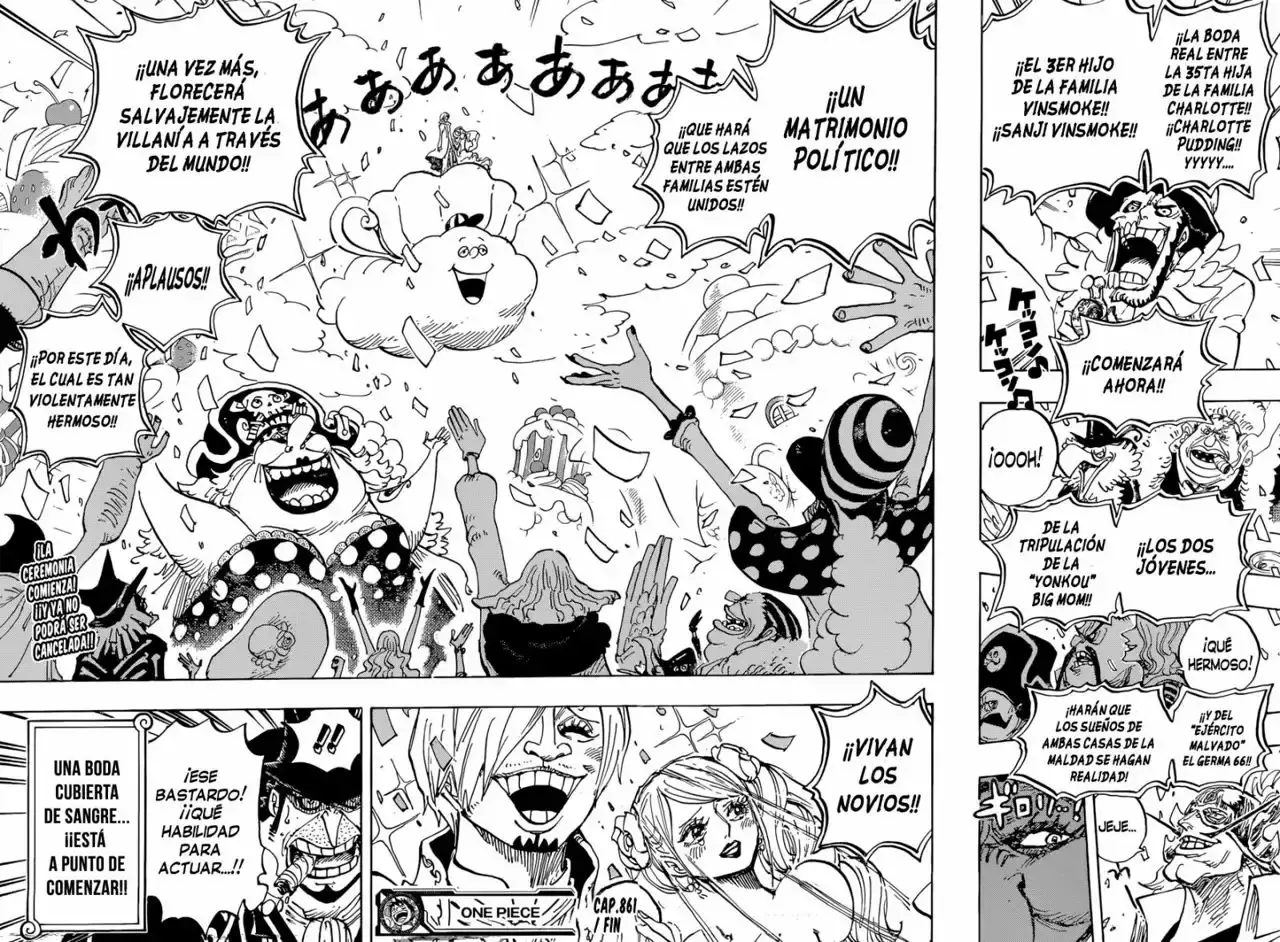 One Piece Capitulo 861: El actor consumado página 16