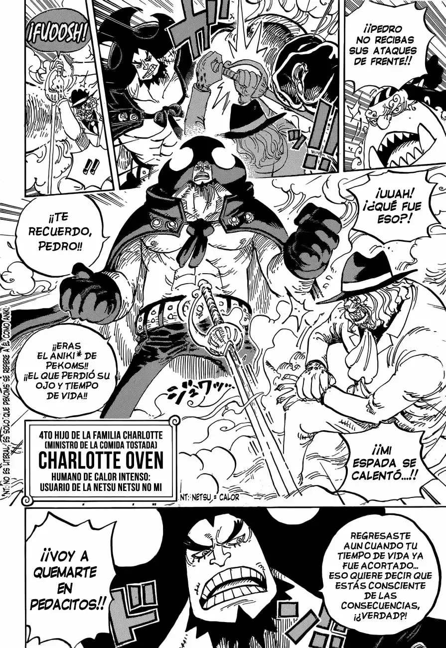 One Piece Capitulo 864: El plan de asesinato de la familia Vinsmoke página 11