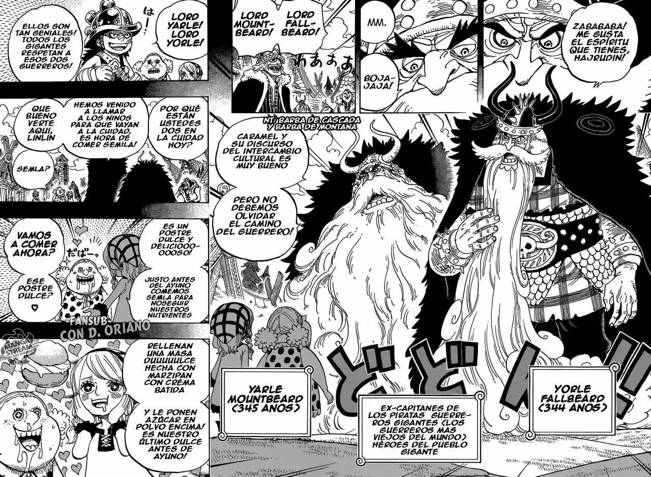 One Piece Capitulo 866: Destructora nata página 12