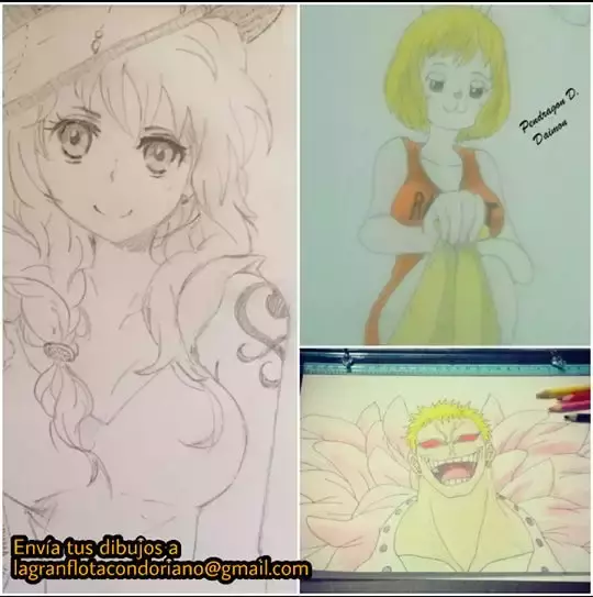 One Piece Capitulo 866: Destructora nata página 18
