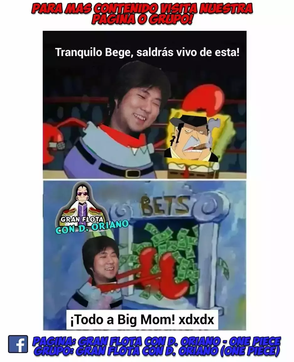 One Piece Capitulo 869: Bajo asedio página 17