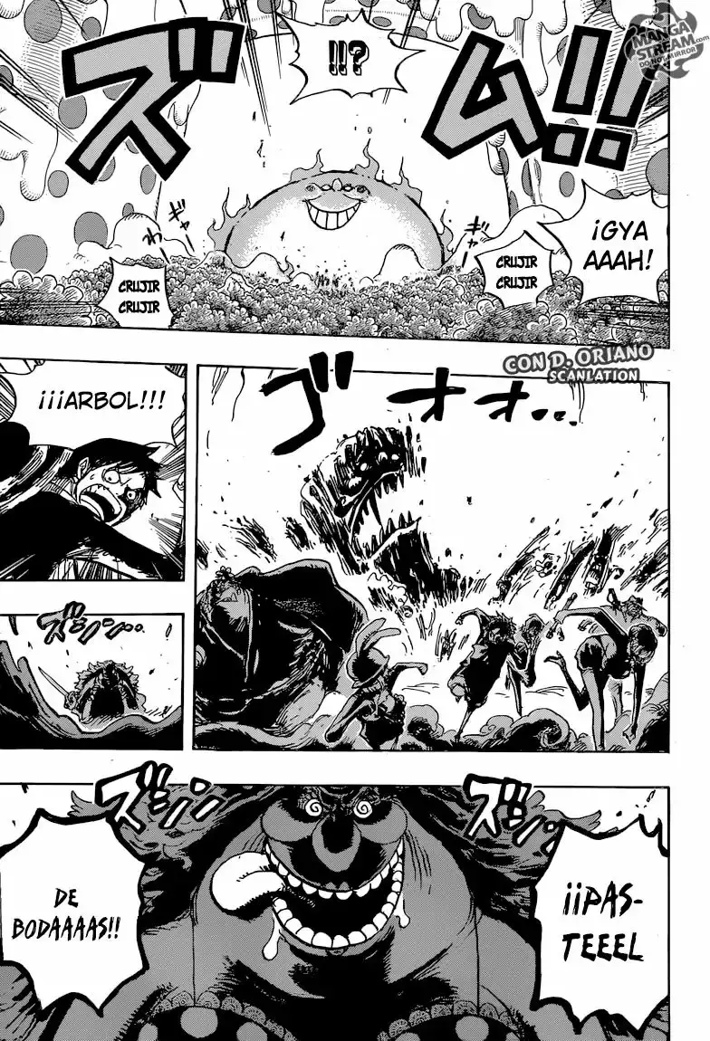 One Piece Capitulo 874 página 14