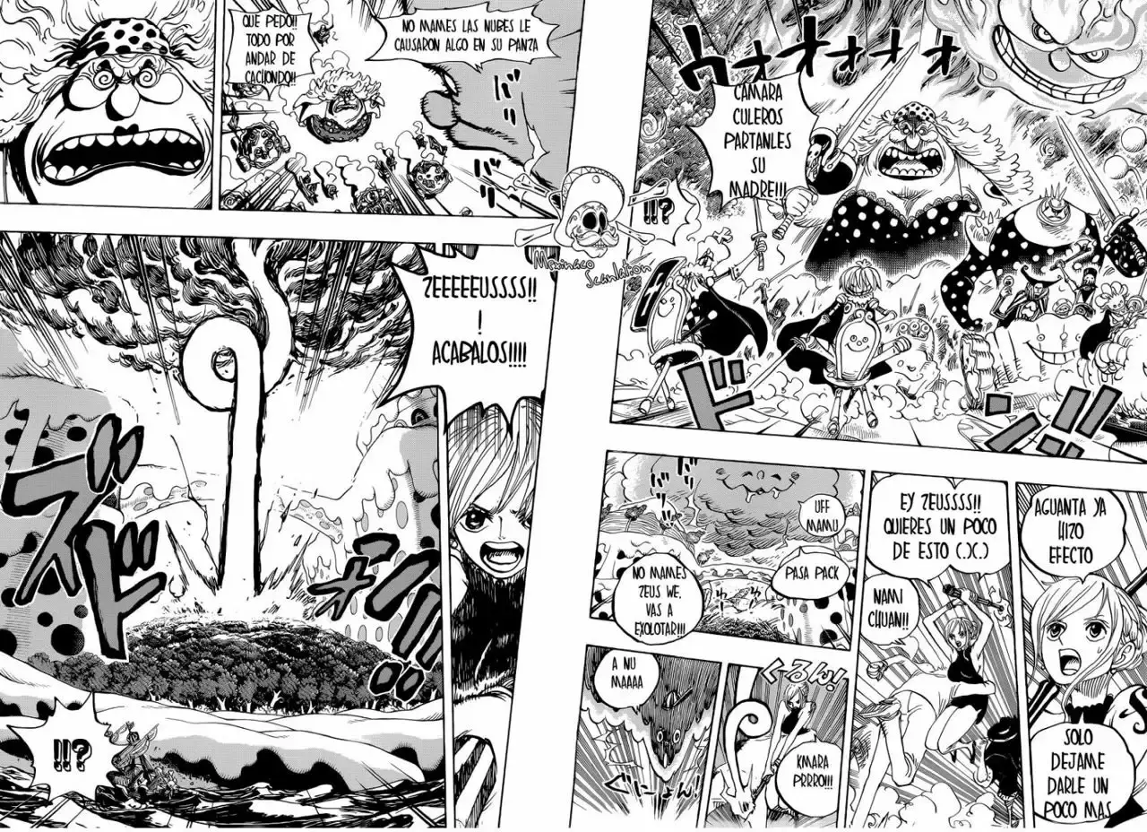 One Piece Capitulo 875: El honor de una Mujer página 11