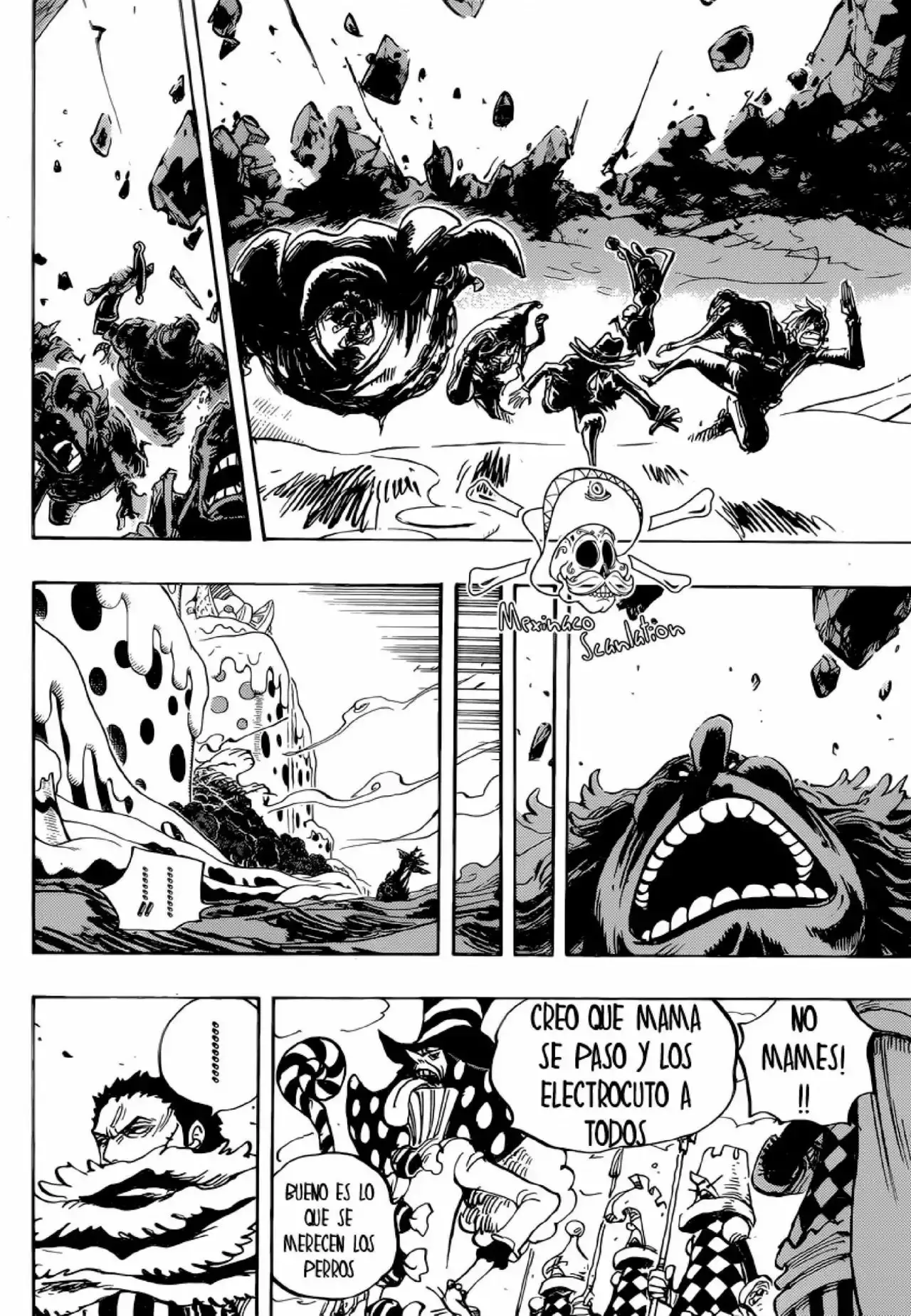 One Piece Capitulo 875: El honor de una Mujer página 12