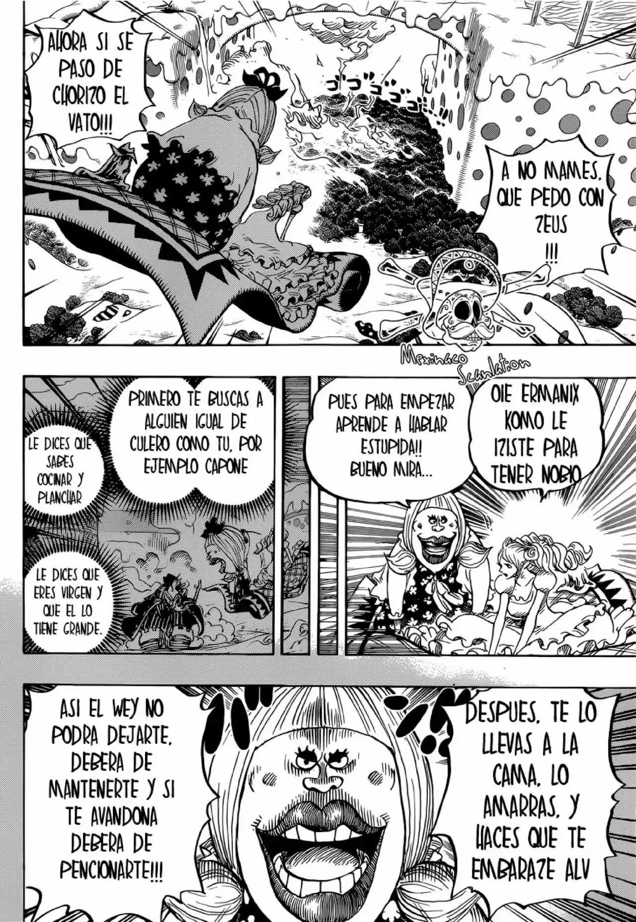 One Piece Capitulo 875: El honor de una Mujer página 13