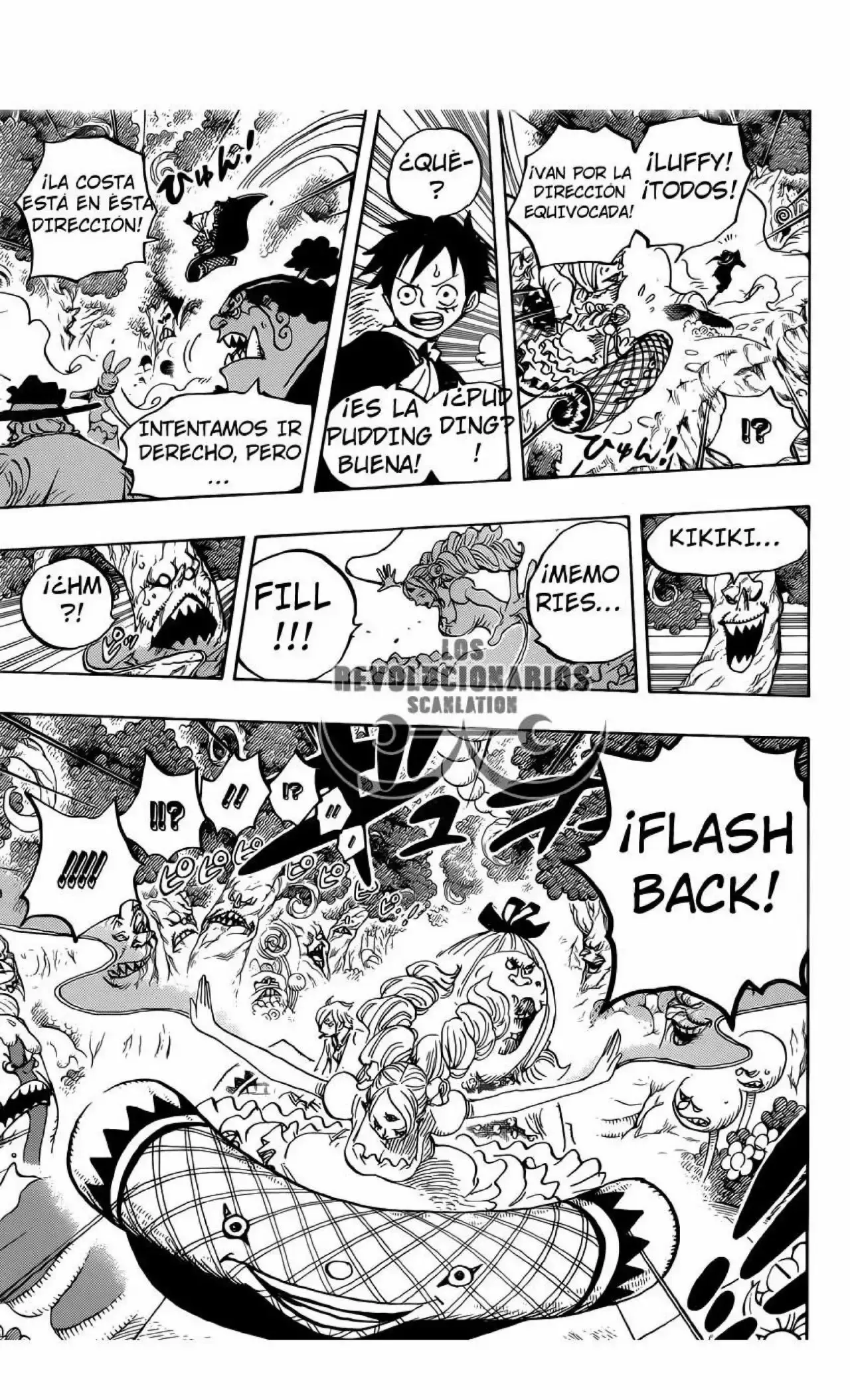 One Piece Capitulo 876: ¡Pudding aparece coincidentemente! página 13