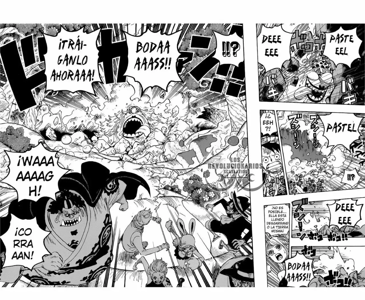 One Piece Capitulo 876: ¡Pudding aparece coincidentemente! página 5