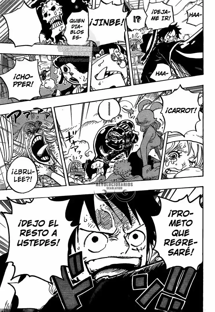 One Piece Capitulo 878: La Tribu Mink: El Guardian En Jefe Pedro página 14
