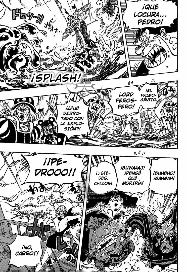 One Piece Capitulo 878: La Tribu Mink: El Guardian En Jefe Pedro página 6