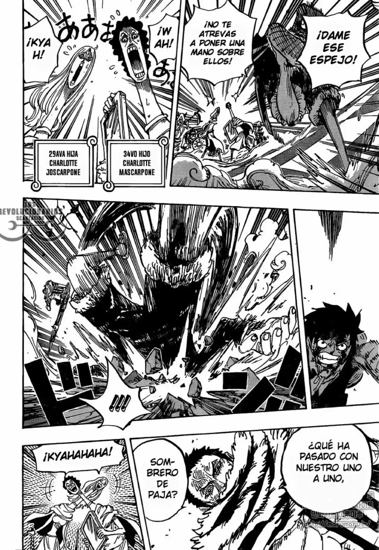 One Piece Capitulo 880: No Hay Manera de Escapar página 13