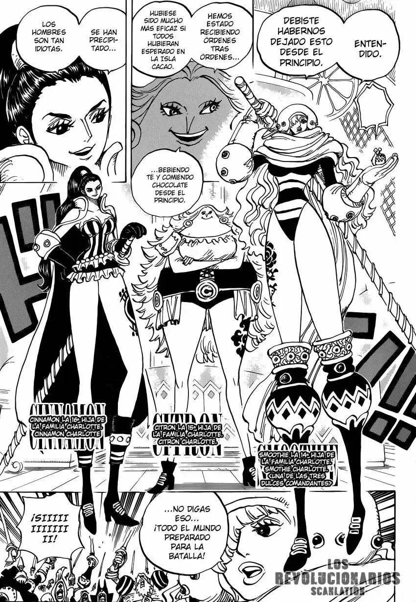 One Piece Capitulo 892: Reconociendo a un enemigo poderoso página 12