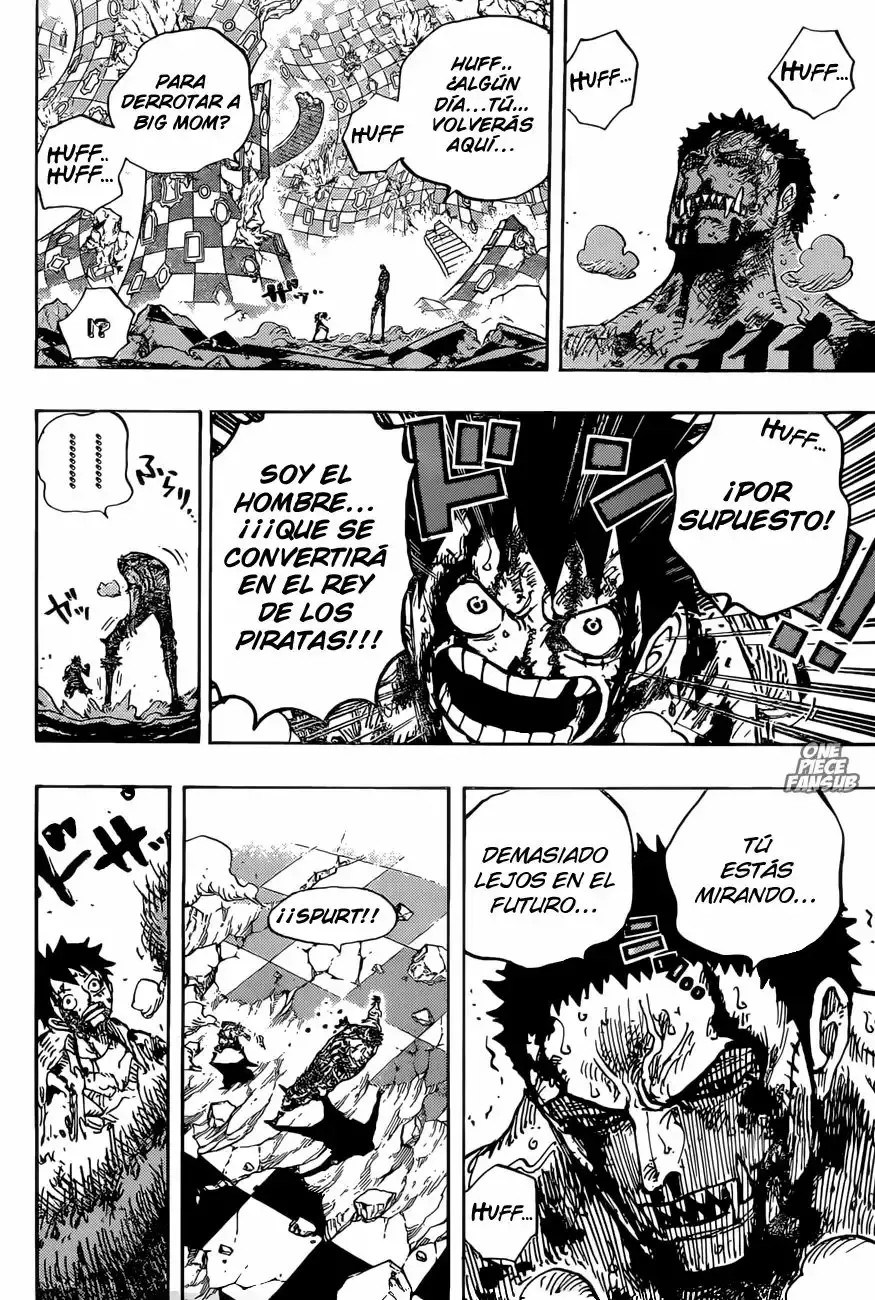 One Piece Capitulo 896: Ultima Peticion página 14