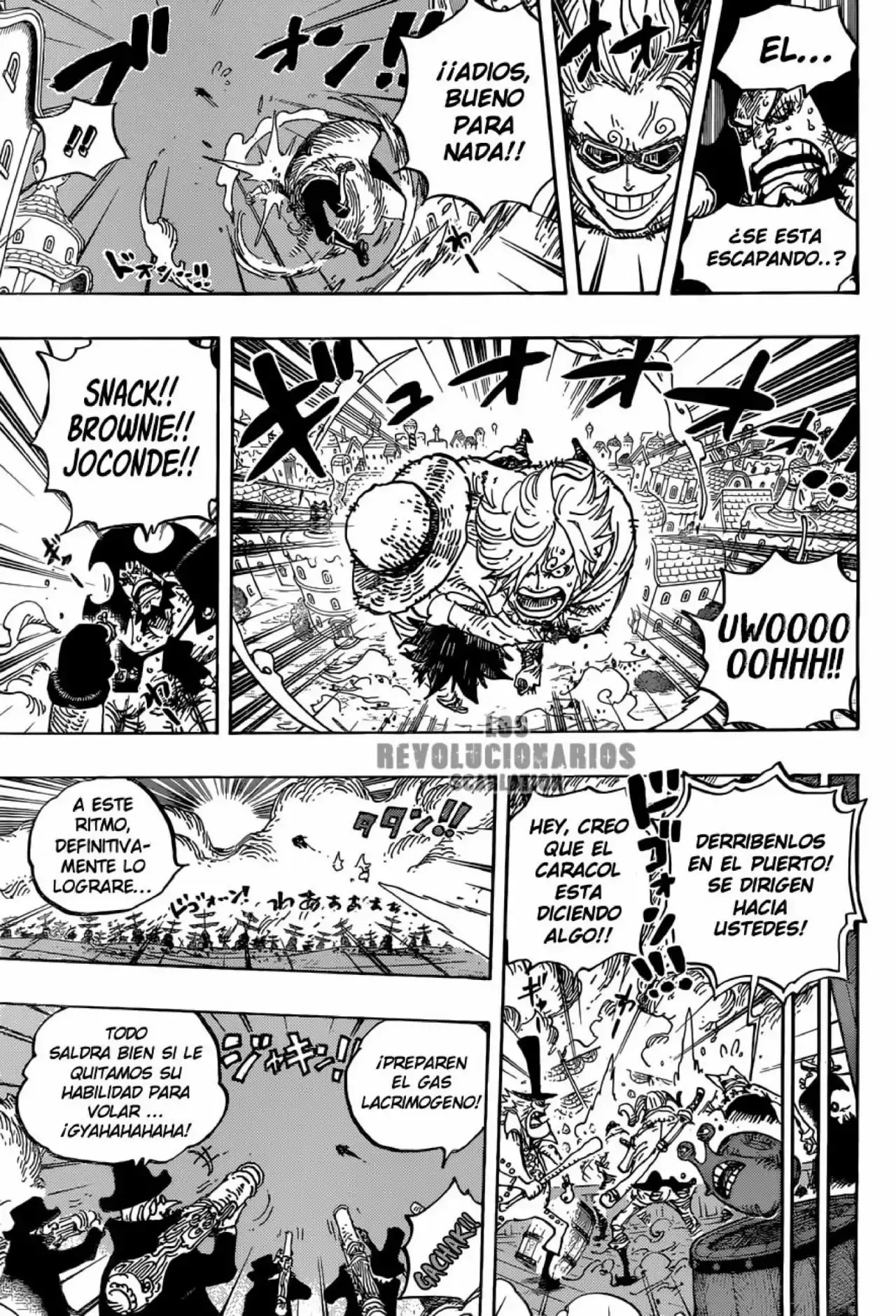 One Piece Capitulo 898: Definitivamente regresaremos página 13