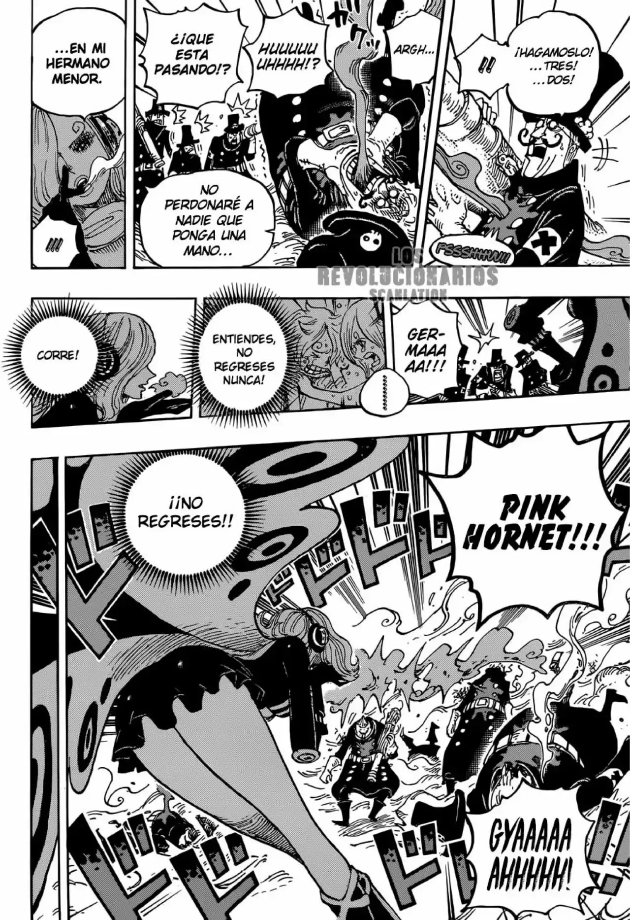 One Piece Capitulo 898: Definitivamente regresaremos página 14