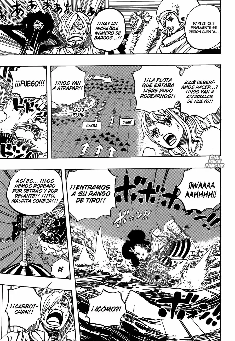 One Piece Capitulo 899: LA ÚLTIMA RESISTENCIA página 14