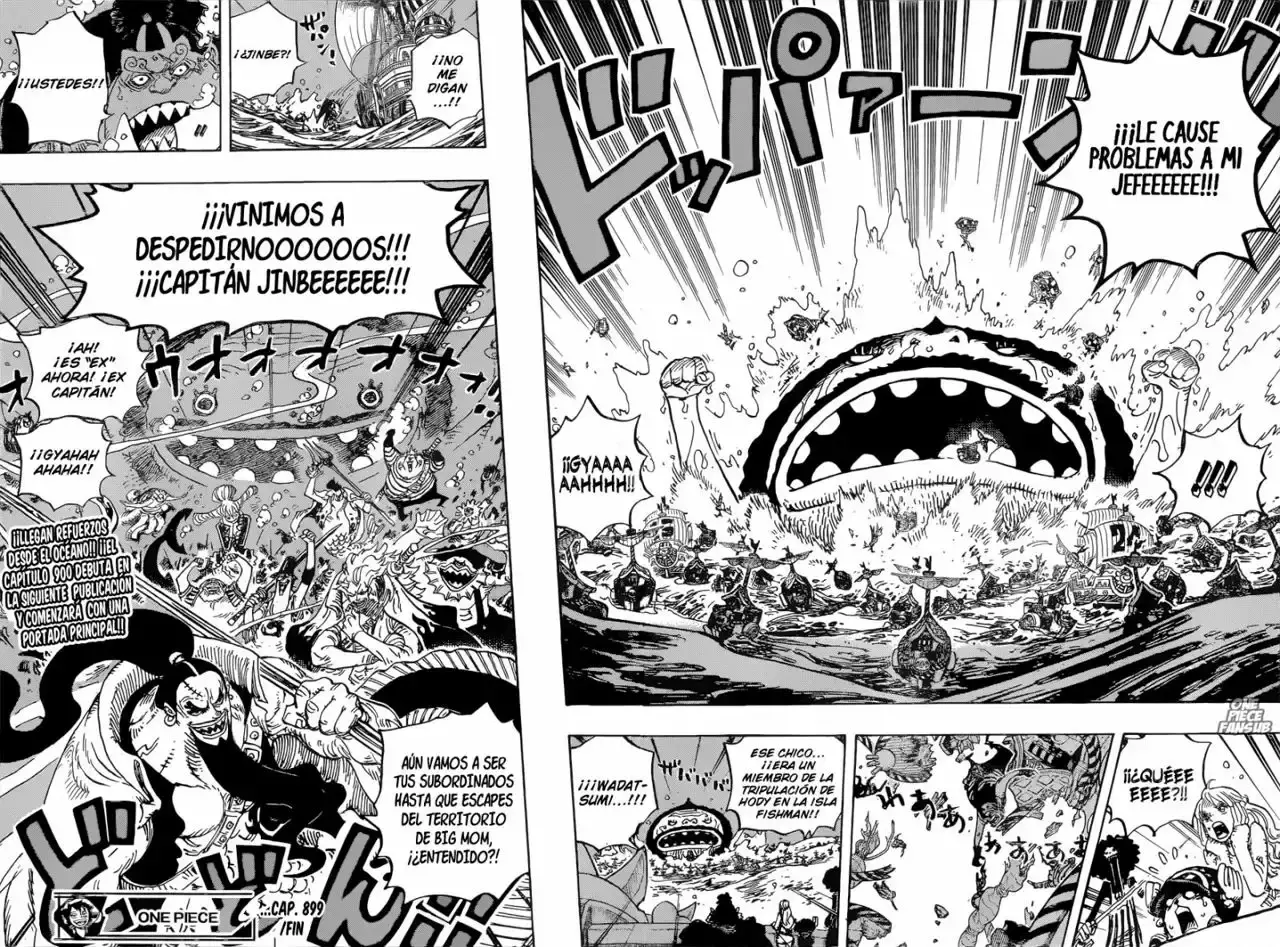 One Piece Capitulo 899: LA ÚLTIMA RESISTENCIA página 17