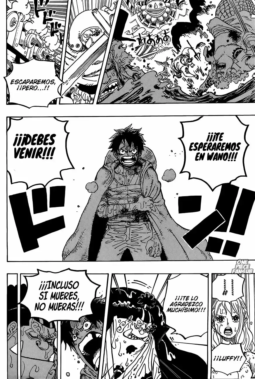 One Piece Capitulo 901: ¡Incluso si mueres, no mueras! página 14