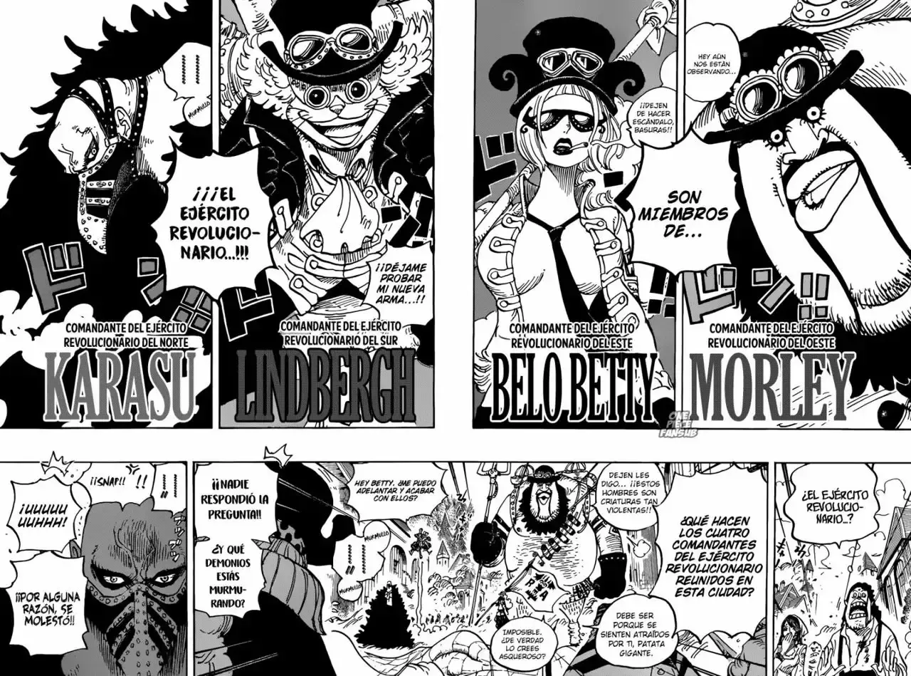 One Piece Capitulo 904: LA ENTRADA DE LOS COMANDANTES DEL EJÉRCITO REVOLUCIONARIO página 10