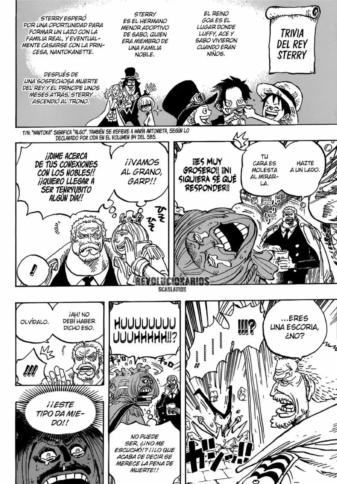 One Piece Capitulo 905: UN MUNDO HERMOSO página 10