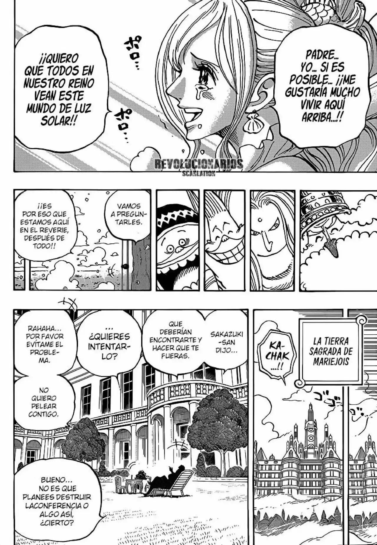 One Piece Capitulo 905: UN MUNDO HERMOSO página 13