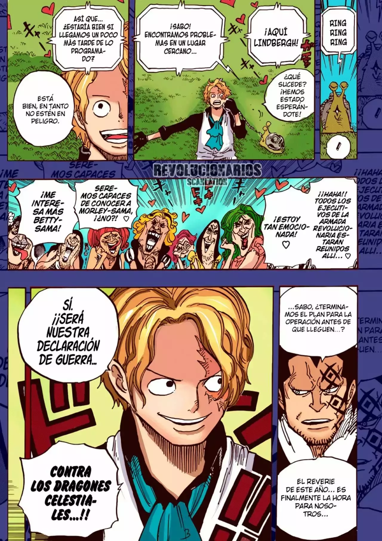One Piece Capitulo 905: UN MUNDO HERMOSO página 17