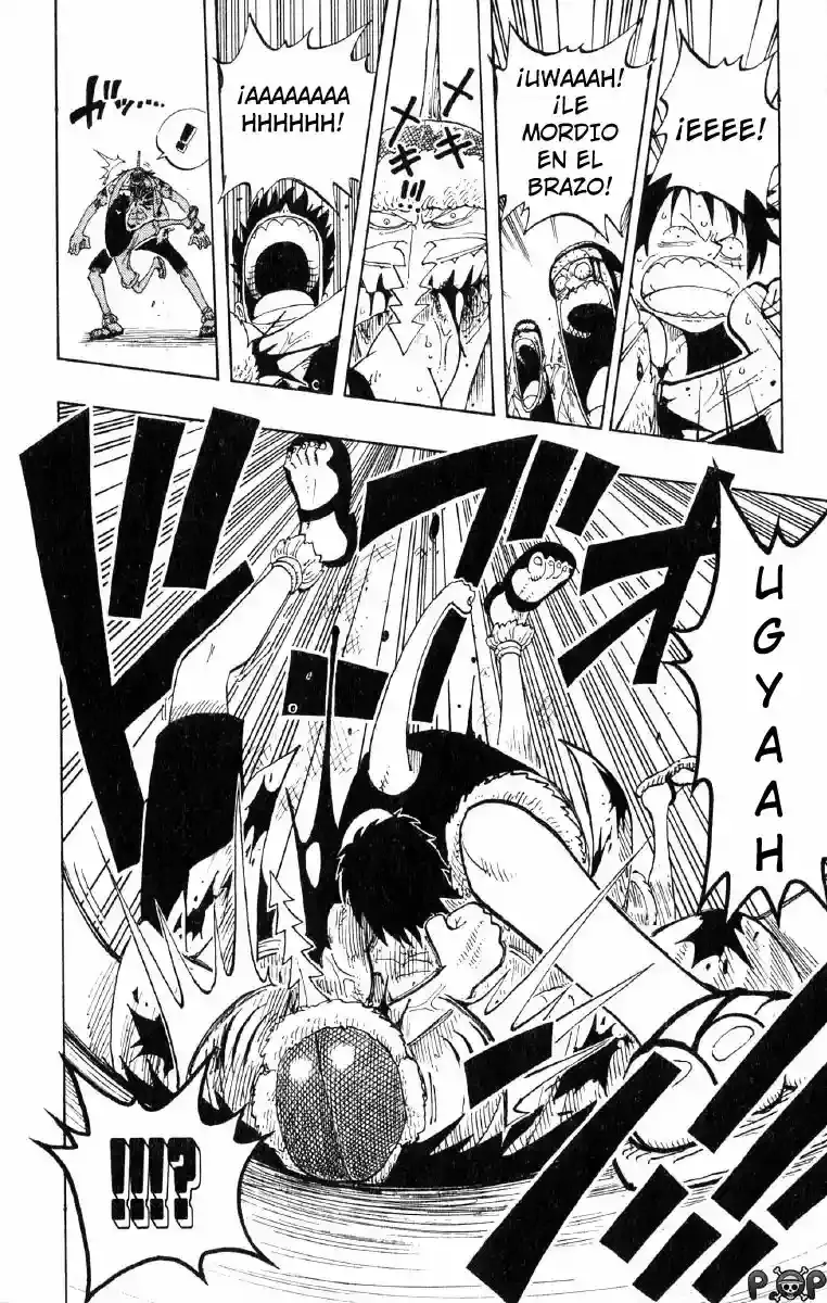 One Piece Capitulo 91 página 15