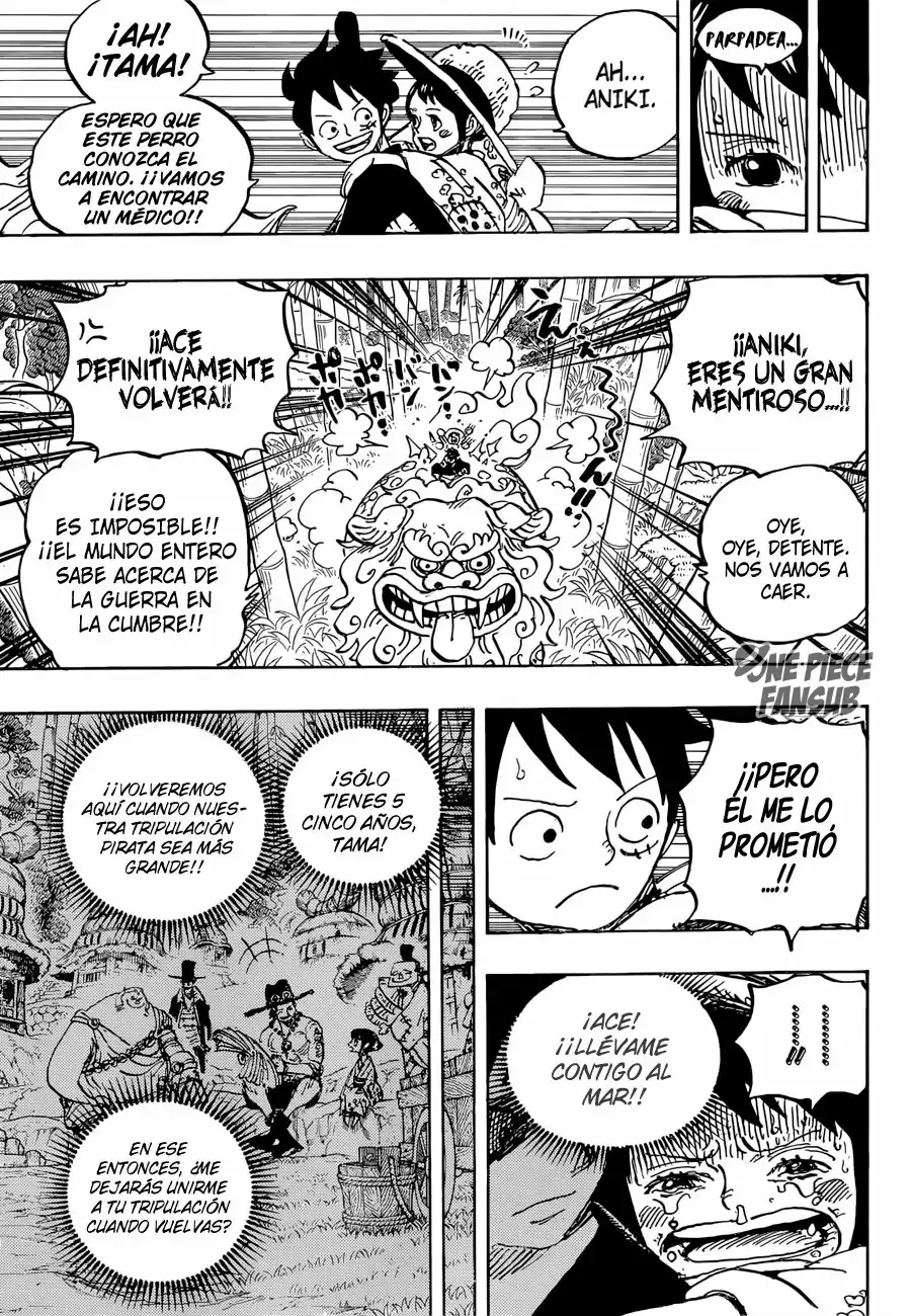 One Piece Capitulo 912: Villa Amigasa página 11