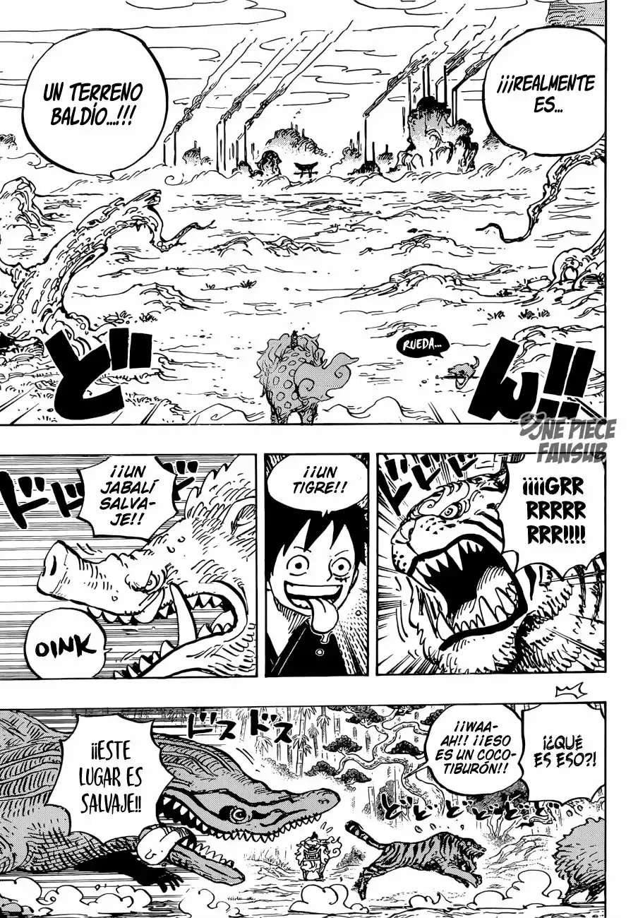 One Piece Capitulo 912: Villa Amigasa página 13