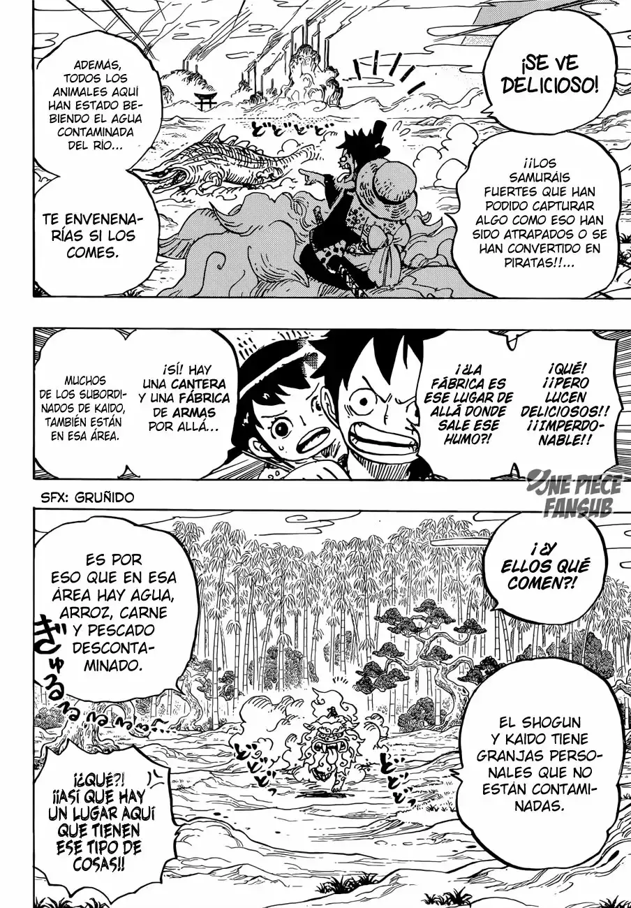 One Piece Capitulo 912: Villa Amigasa página 14