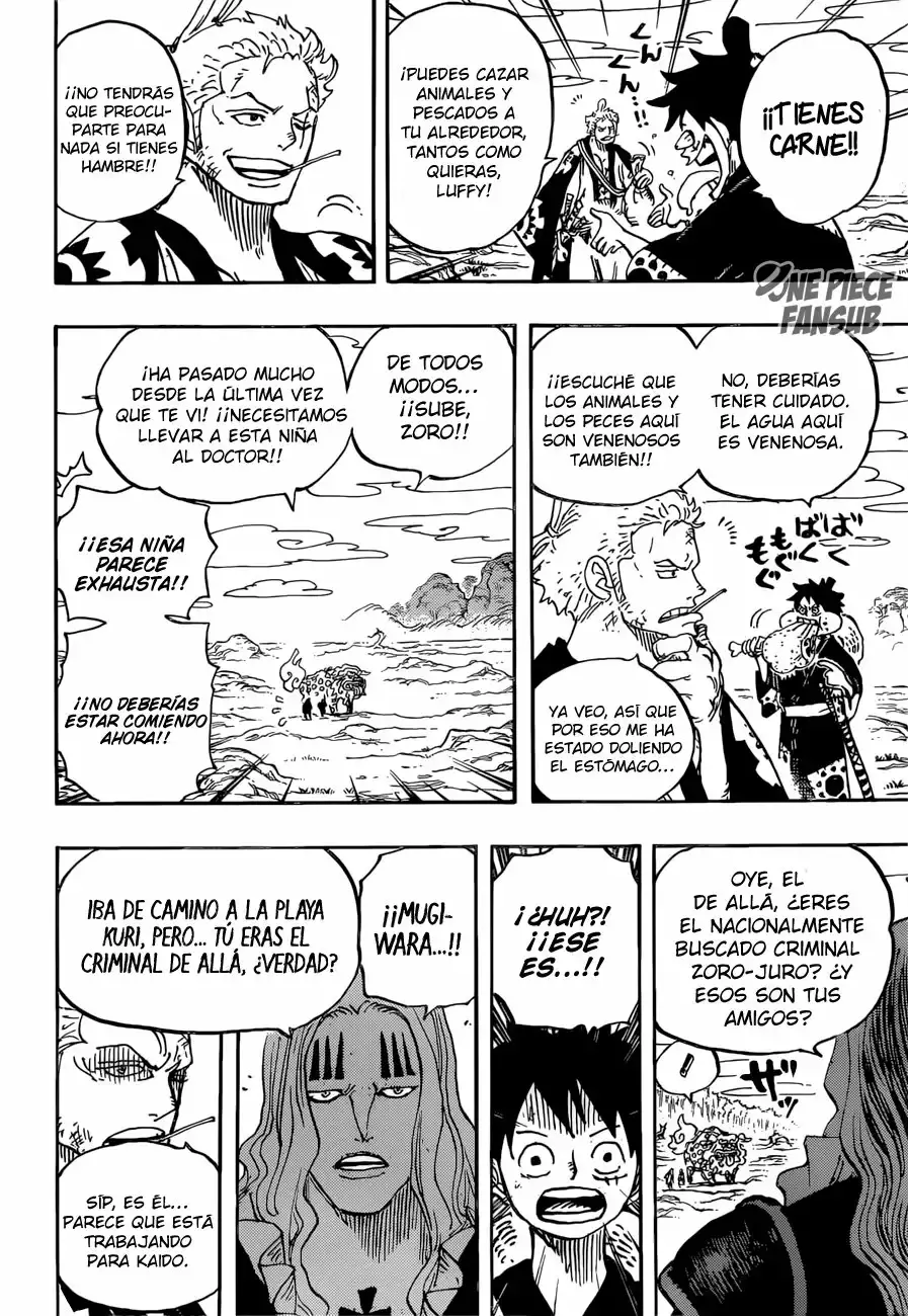 One Piece Capitulo 912: Villa Amigasa página 18