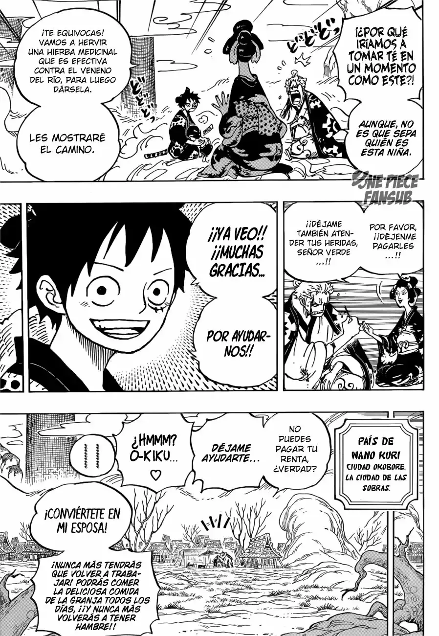 One Piece Capitulo 913: Tsuru devuelve el favor página 13