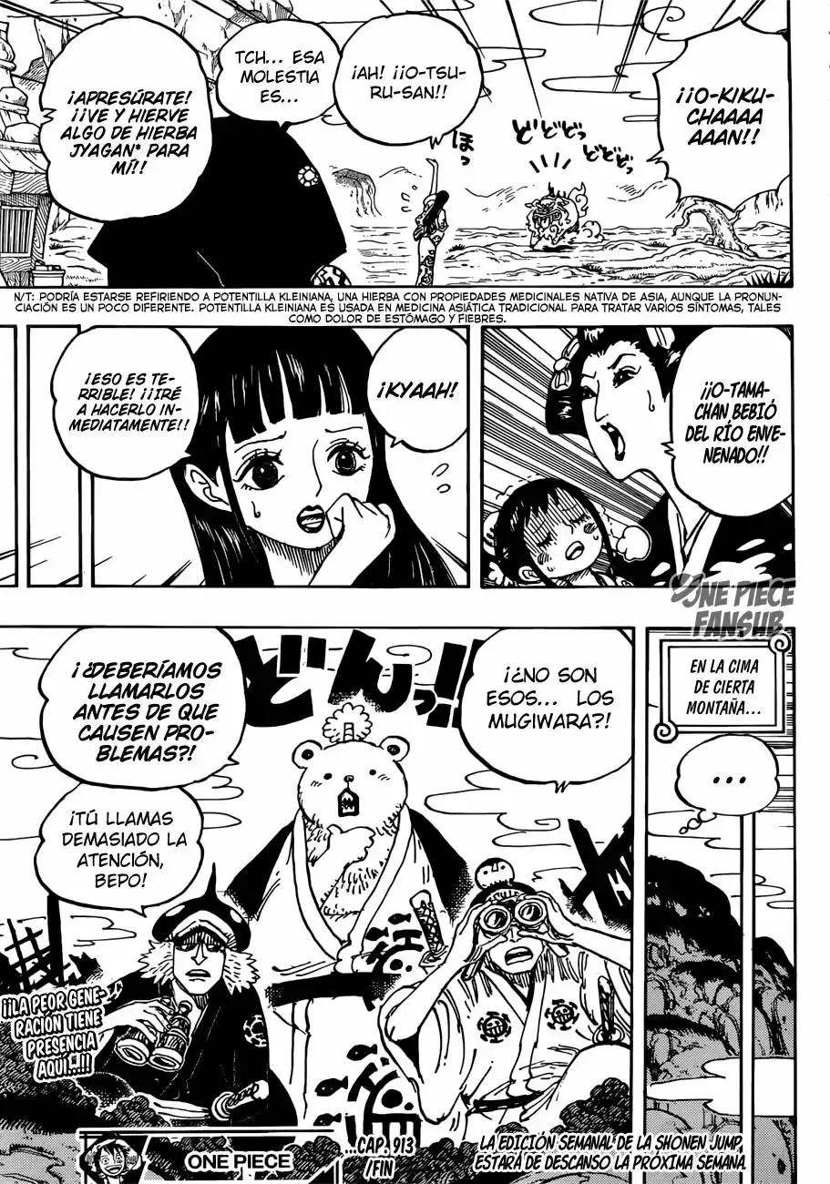 One Piece Capitulo 913: Tsuru devuelve el favor página 15