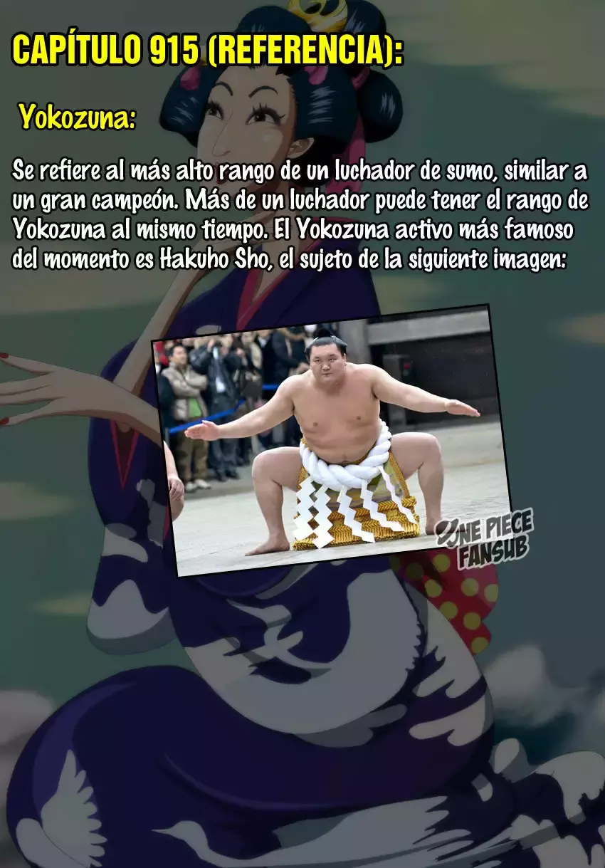 One Piece Capitulo 915: Ciudad Bakura página 17