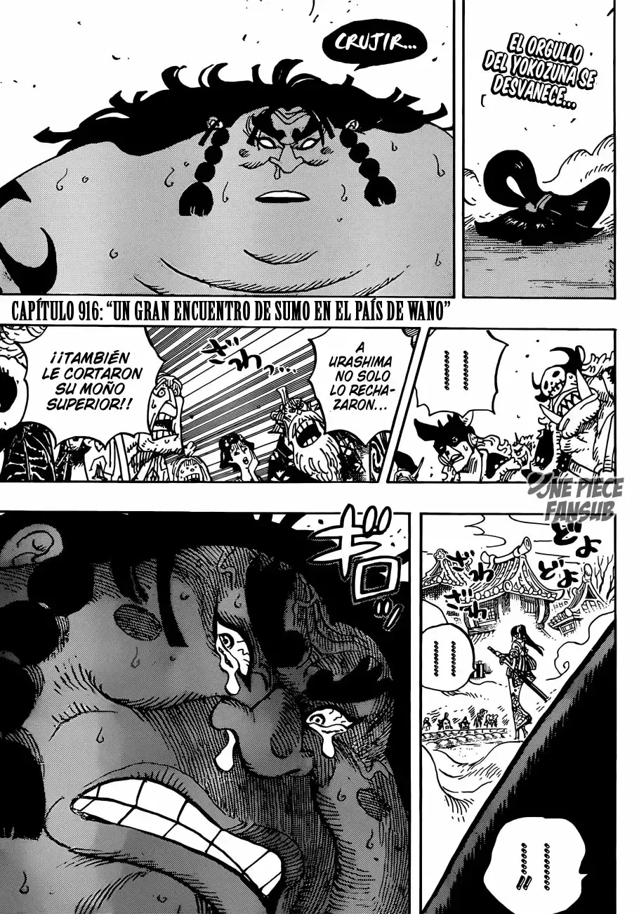 One Piece Capitulo 916: Una gran contienda de sumos en el pais de Wano página 3