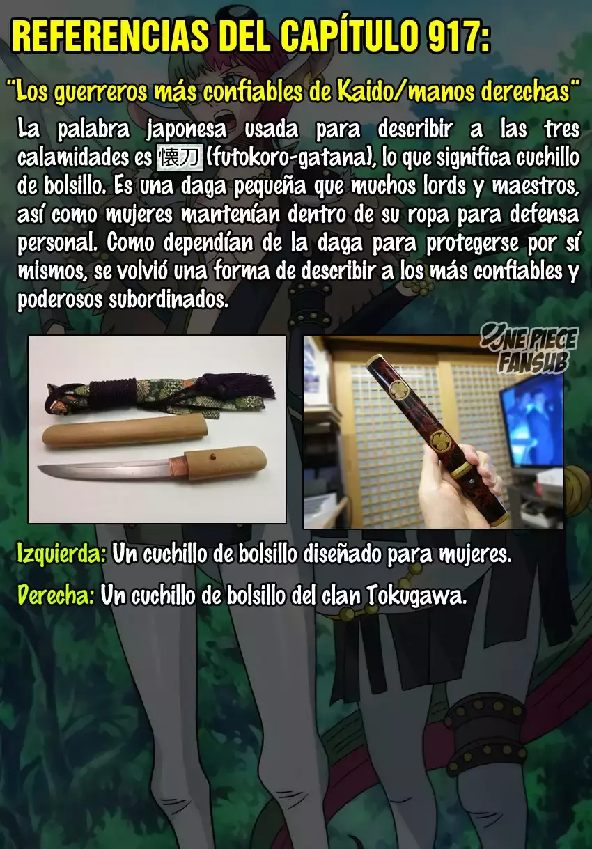 One Piece Capitulo 917: LA NAVE TESORO DE LAS PROVISIONES página 18