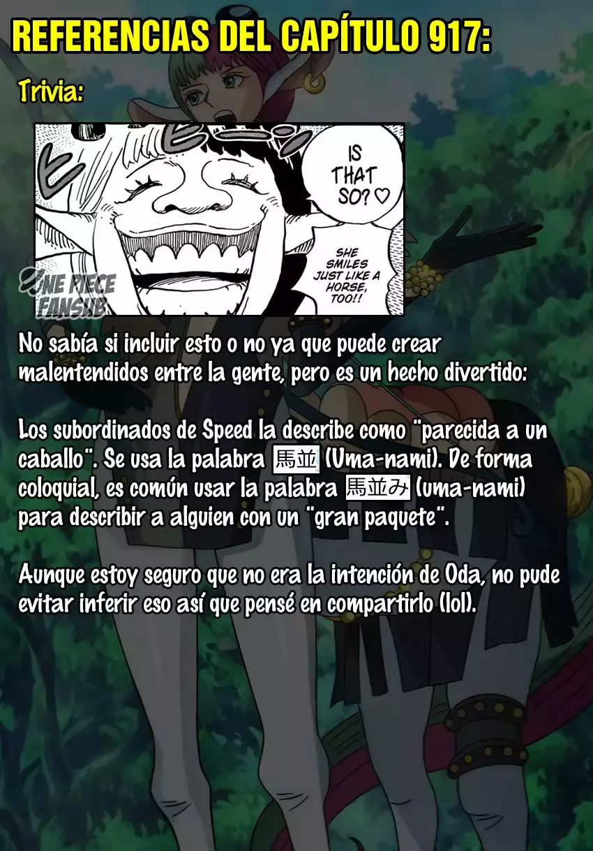 One Piece Capitulo 917: LA NAVE TESORO DE LAS PROVISIONES página 20
