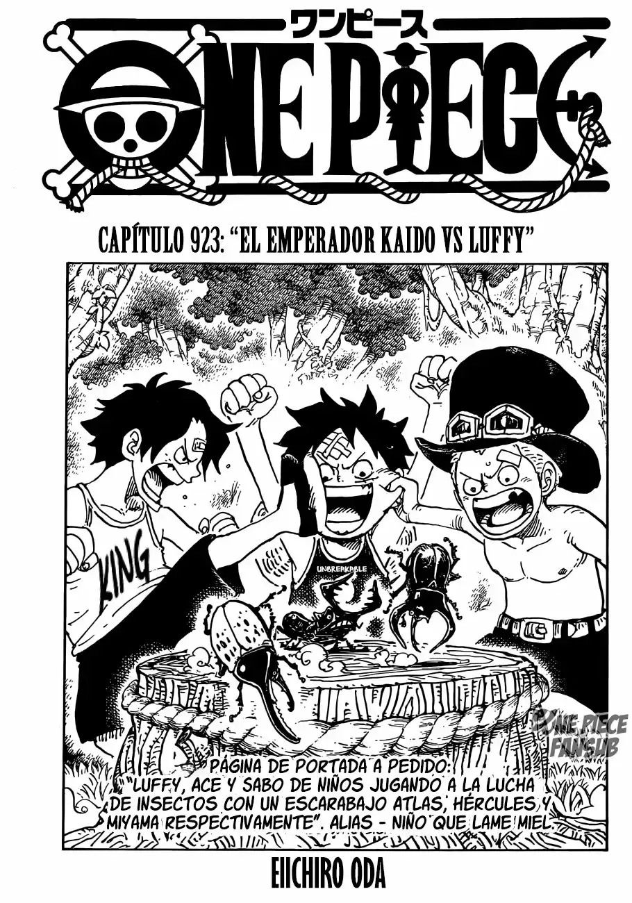One Piece Capitulo 923: Emperador Kaido vs Luffy página 2