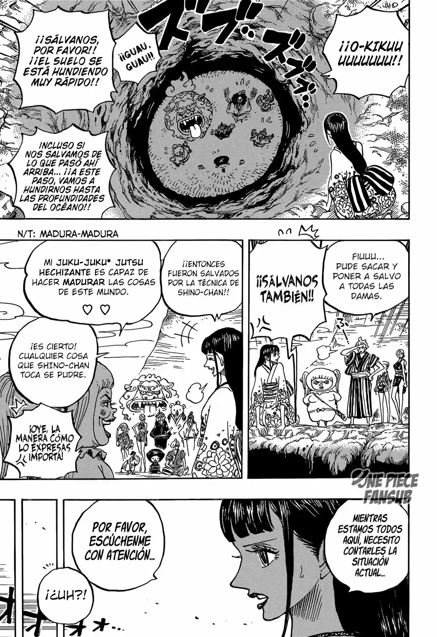 One Piece Capitulo 924: "Ha" página 10