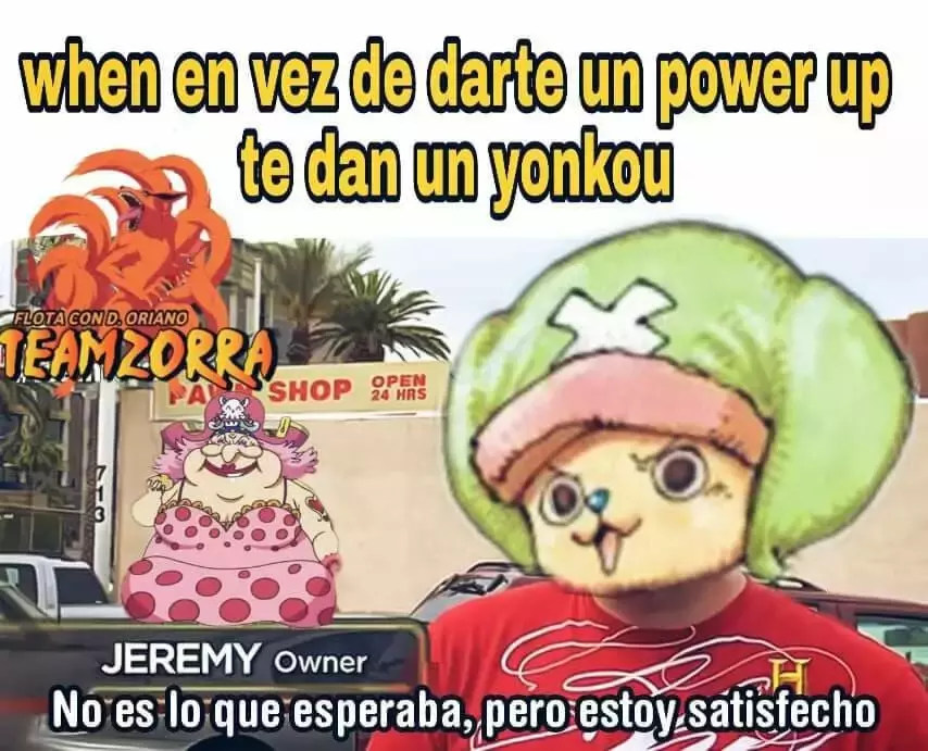 One Piece Capitulo 934: Hyougoro la flor página 17