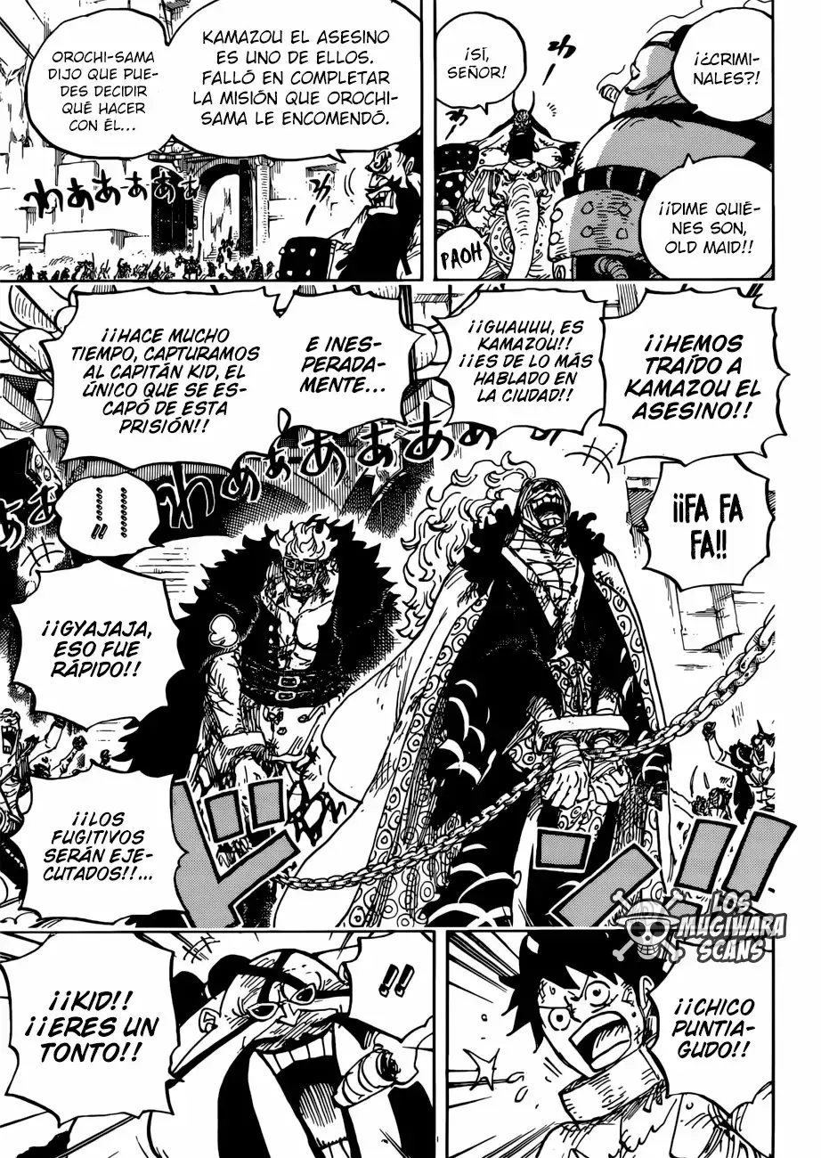 One Piece Capitulo 944: Compañero página 12