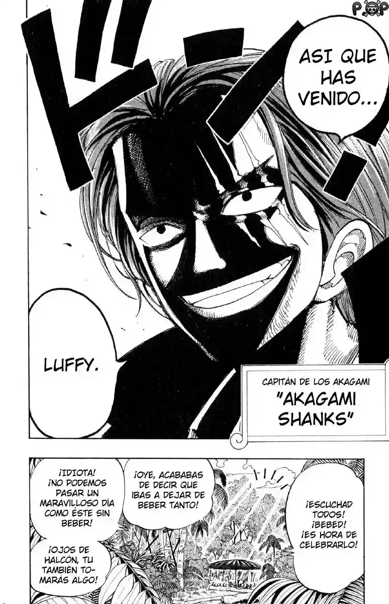 One Piece Capitulo 96 página 17