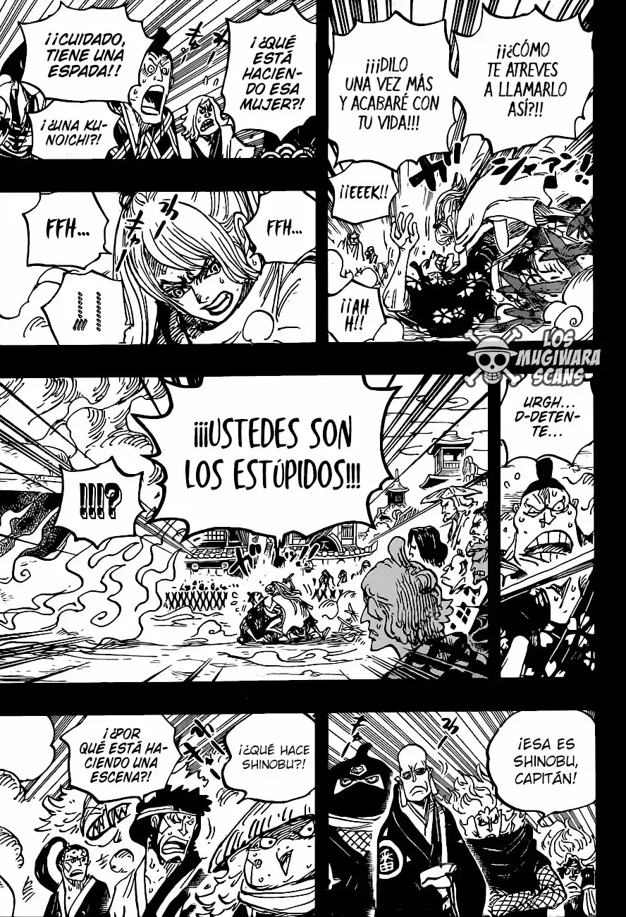 One Piece Capitulo 971 página 14